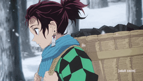 a person with a basket on their back says adult swim on the bottom