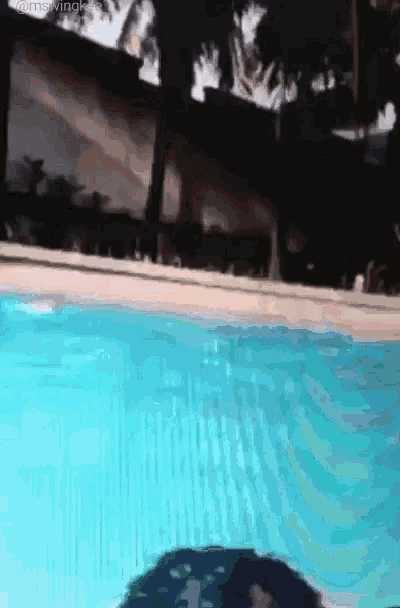 Swimming Tntboys GIF - Swimming Tntboys Mackie GIFs