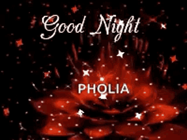 a greeting card with red candles and the words pholia and sweet dreams .