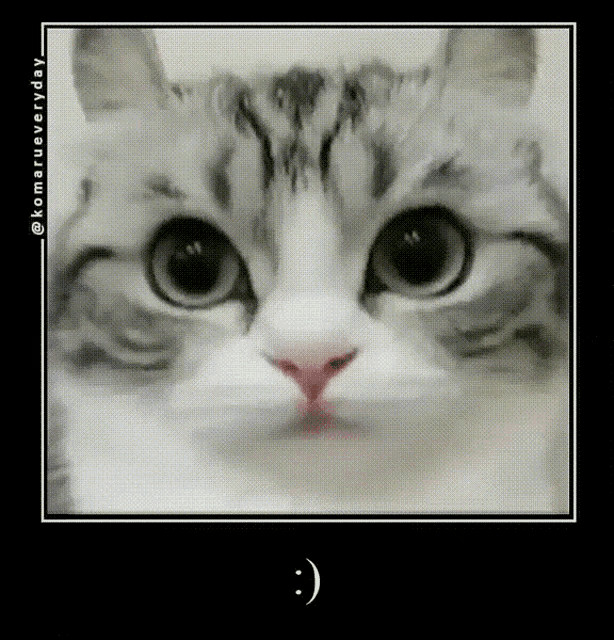 a close up of a cat 's face with a smiley face in the corner