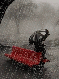 Rain Sad GIF - Rain Sad Umbrella GIFs
