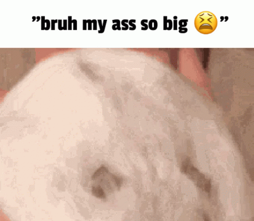 Big Ass Big Butt GIF - Big Ass Big Butt Flat Ass GIFs