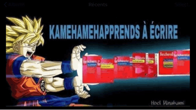 a picture of a cartoon character with the words " kamehameha prends a ecrire "