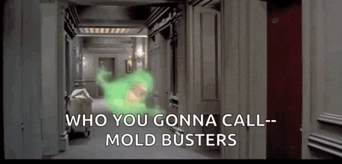 a ghost is coming out of a doorway in a hallway and says `` who you gonna call mold busters '' .