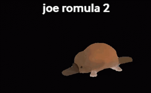 Joe Romula Joe Romula2 GIF