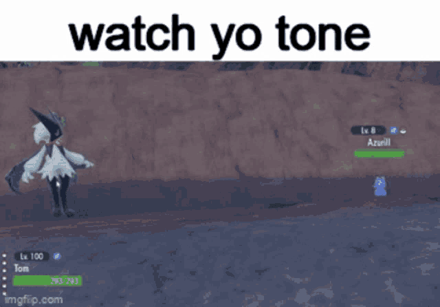 a screenshot of a video game with the words watch yo tone at the top