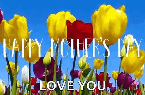 a bunch of colorful flowers with the words `` happy mother 's day love you '' written on them .