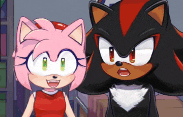 amy rose and shadow the hedgehog are looking at each other