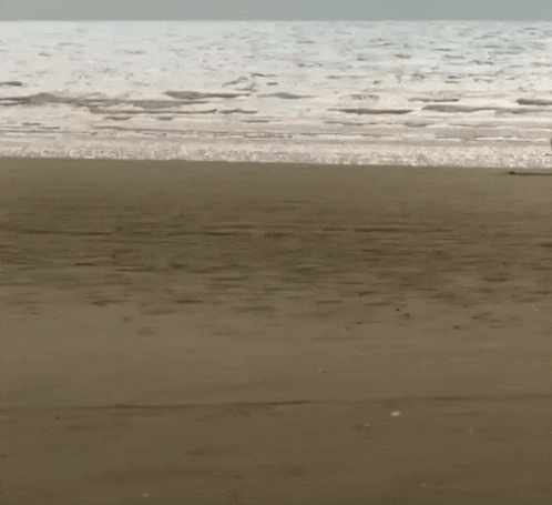 a beach with waves crashing against the sand and a body of water in the background .