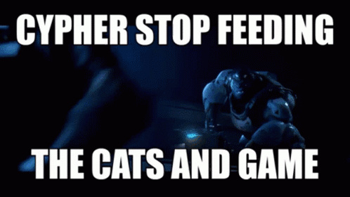 Cypher Stop Feeding The Cats And Game GIF - Cypher Stop Feeding The Cats And Game GIFs