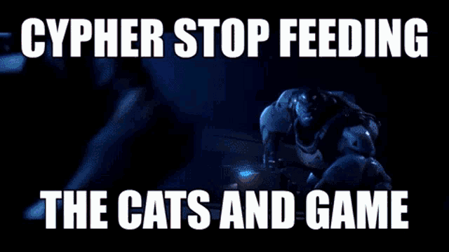 a cypher stop feeding the cats and game meme with lightning
