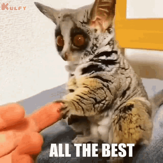 All The Best Best Of Luck GIF - All The Best Best Of Luck Better Luck GIFs