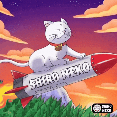 a cartoon of a white cat sitting on a shiro neko rocket