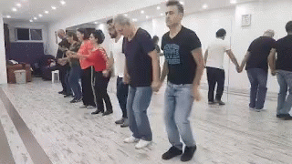 Turkey Dancing GIF - Turkey Dancing Turkish GIFs