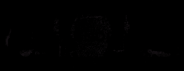 a black background with the word skillet in gold letters