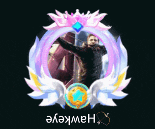 a hawkeye logo with a picture of a man in a circle