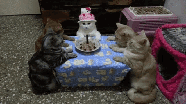 a group of cats sitting around a table with a hello kitty cake
