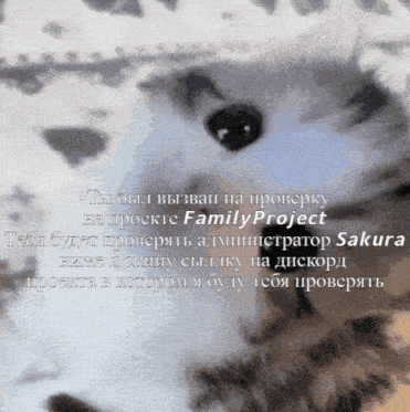 a picture of a cat with the words family project written below it