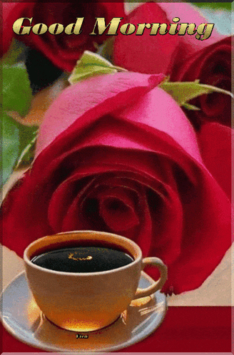 a cup of coffee sits on a saucer next to a red rose with the words good morning written on it
