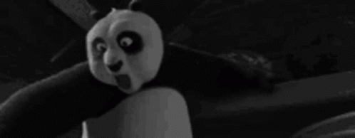Black And White Kung Fu Panda GIF - Black And White Kung Fu Panda Po GIFs