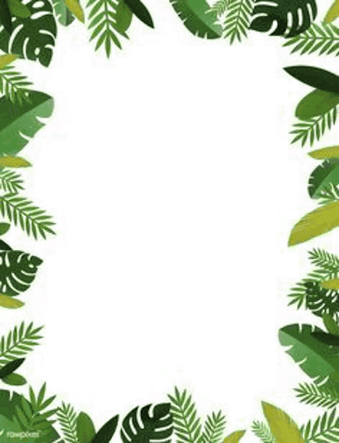 a tropical leaves frame on a white background .
