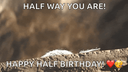 a half way you are happy half birthday card