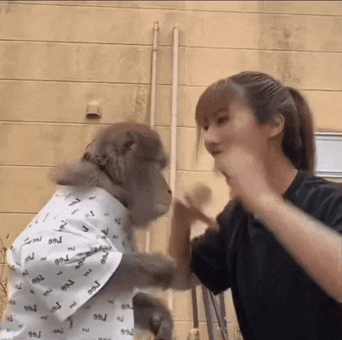a monkey wearing a shirt that says lee is being held by a woman