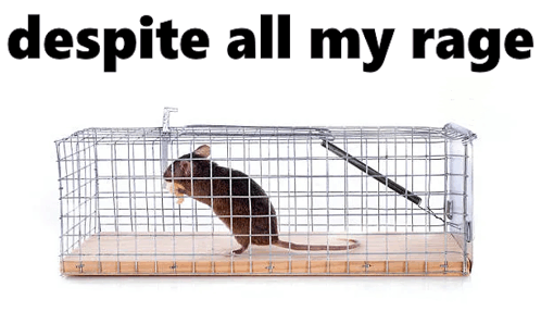 Despite All My Rage Still Just A Rat In A Cage GIF - Despite All My Rage Still Just A Rat In A Cage Rat In A Cage GIFs