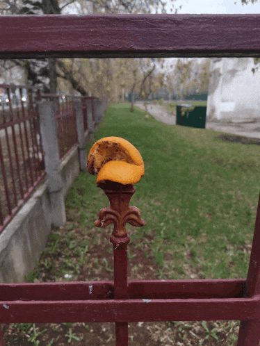 a fence post with a piece of orange paint on it