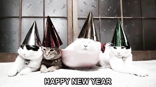 Happy New Year GIF - Cat Happy New Year Celebrate GIFs