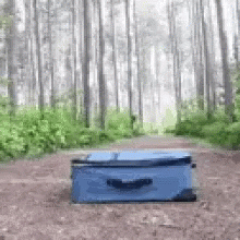 Dog Luggage GIF - Dog Luggage Hide GIFs