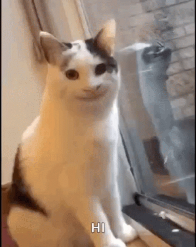Smiling Cat Creepy Cat GIF - Smiling Cat Creepy Cat Cat GIFs