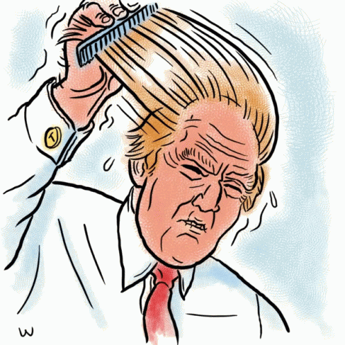 Haircut Trump GIF - Haircut Trump Thumbs Up GIFs