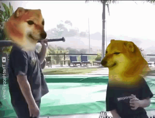 Bonk Doge GIF - Bonk Doge GIFs