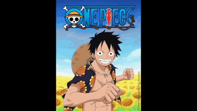 a poster for the anime one piece with monkey d luffy