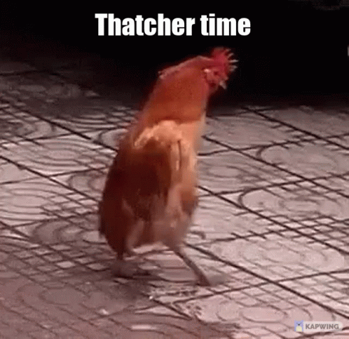 Thatcher Thatchfly GIF - Thatcher Thatchfly GIFs