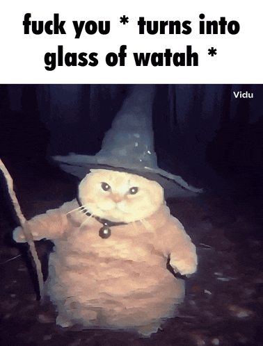 a cat wearing a witch hat and holding a wand with the words fuck you turns into glass of watah