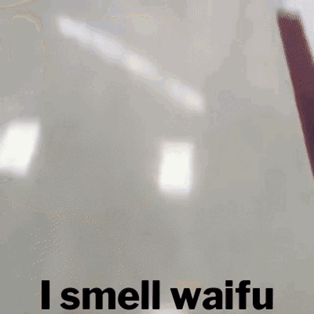We Smell Waifu GIF - We Smell Waifu GIFs