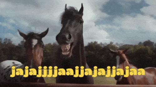 Horsey Horses GIF - Horsey Horses Laughing GIFs