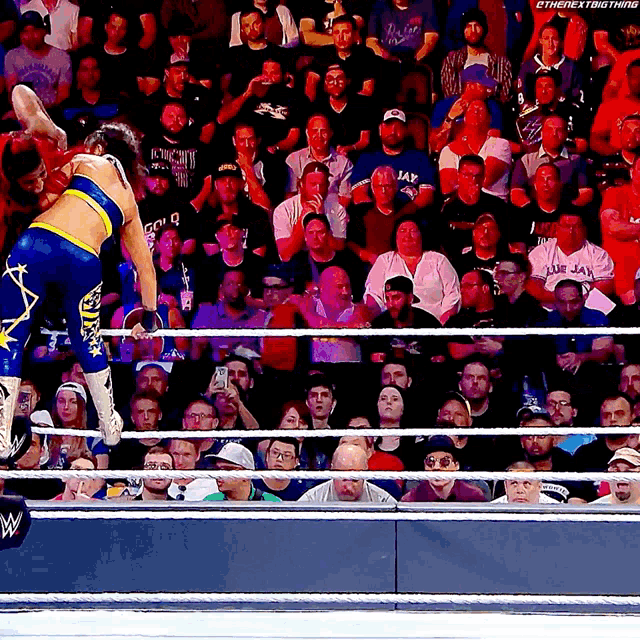 a wrestling match is going on in front of a crowd and a sign that says thenextbigthing