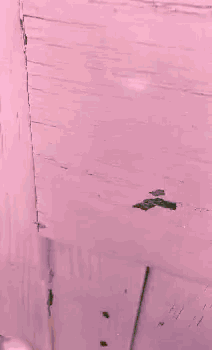 a close up of a pink wall with a blue umbrella in front of it .