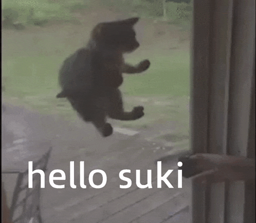 a black cat is standing next to a sign that says hello suki