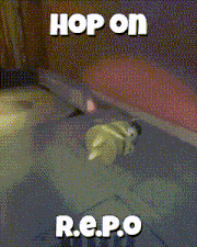 a poster that says hop on r.e.p.o on the bottom