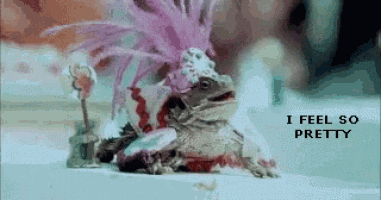 a bearded dragon wearing a pink hat is sitting on a white surface .