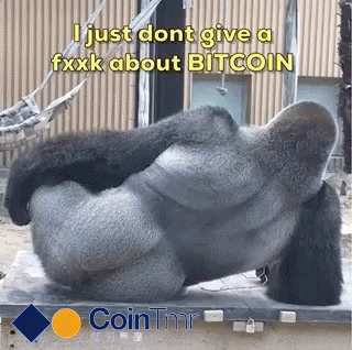 Cointmr Bitcoin GIF - Cointmr Bitcoin Gorilla GIFs