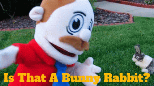 Sml Marvin GIF - Sml Marvin Is That A Bunny Rabbit GIFs