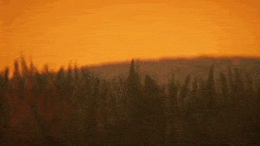 a blurred image of a field with a sunset behind it