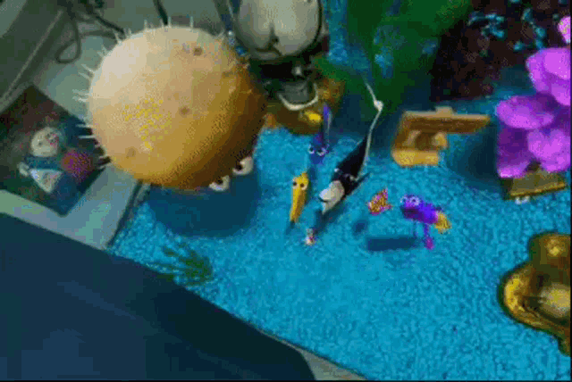 Aquamugre Teodioaquamugre GIF - Aquamugre Teodioaquamugre Nemo GIFs