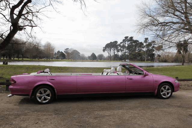 a pink car is parked in front of a lake with trees in the background