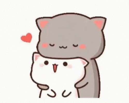 Cats Love GIF - Cats Love Hug GIFs